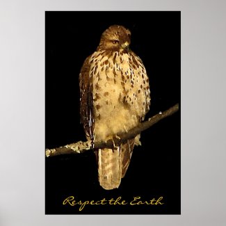 Red tailed Hawk Earth Day Print