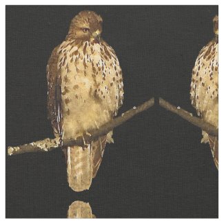 Red Tailed Hawk Fabric