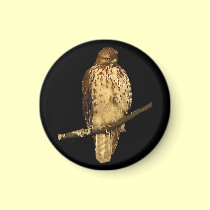 Red Tailed Hawk magnets
