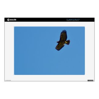 Red Tailed Hawk in Flight 15&quot; Laptop Skins