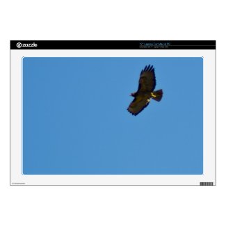 Red Tailed Hawk in Flight 17&quot; Laptop Decal