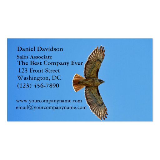 Red-Tailed Hawk in Flight Business Cards (front side)