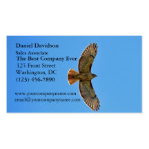 Red-Tailed Hawk in Flight Business Cards
