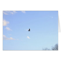 Red Tailed Hawk In Flight Card