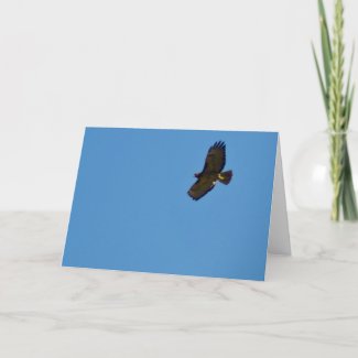 Red Tailed Hawk in Flight Card