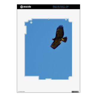Red Tailed Hawk in Flight Decal For Ipad 2