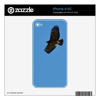 Red Tailed Hawk in Flight Decal For The Iphone 4