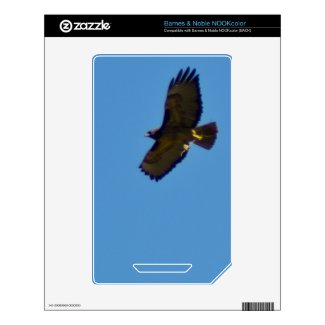 Red Tailed Hawk in Flight Decal For The Nook Color