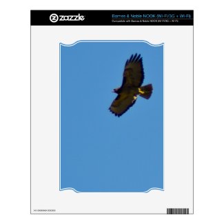 Red Tailed Hawk in Flight Decals For Nook