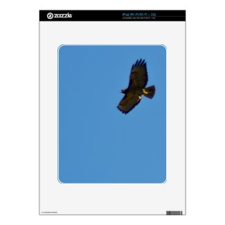Red Tailed Hawk in Flight Decals For The Ipad