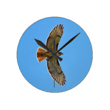 Red-Tailed Hawk in Flight Round Clocks