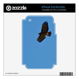 Red Tailed Hawk in Flight Skin For Iphone 3
