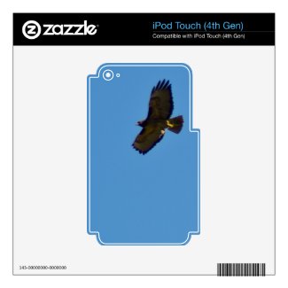 Red Tailed Hawk in Flight Skin For Ipod Touch 4g