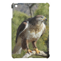 Red Tailed Hawk iPad Mini Case ipad mini cases