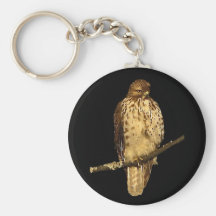 Red Tailed Hawk Key Chain