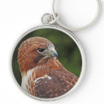 Red-tailed Hawk keychain