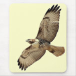 Red Tailed Hawk Mousepad