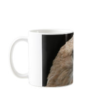 Red tailed hawk mugs by the_naturalist Red tailed hawk mugs
