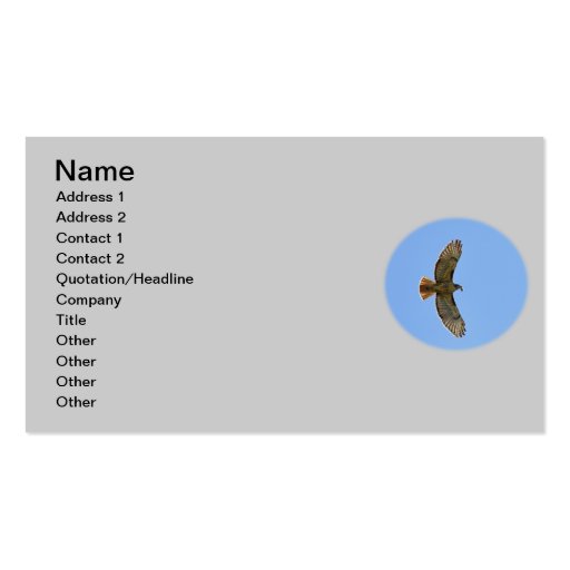 Red-Tailed Hawk Photo Business Card (front side)