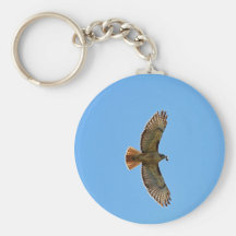 Red-Tailed Hawk Photo Key Chain