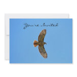 Red-Tailed Hawk Photo Personalized Announcement