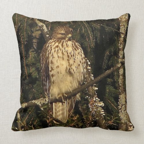 Red Tailed Hawk Pillows