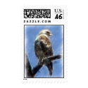 Red-Tailed Hawk Postage postage by pyrabird Red-Tailed Hawk Postage postage