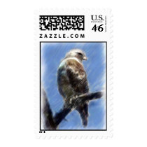 Red-Tailed Hawk Postage postage