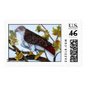 red-tailed hawk, postage