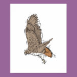 red tailed hawk