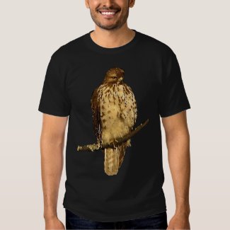 Red Tailed Hawk Shirt
