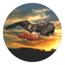 Red tailed hawk round sticker