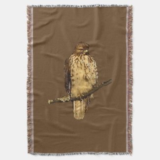 Red Tailed Hawk Throw Blanket
