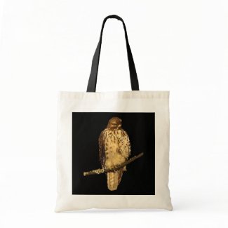 Red Tailed Hawk