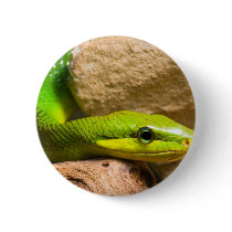 Red Tailed Racer buttons