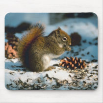 Red Tailed Squirrel mousepads by HolidayPostage Red Tailed Squirrel mousepads
