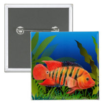 Red Terror Festae Cichlid Fish Pin