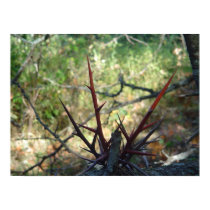 Red Thorns posters