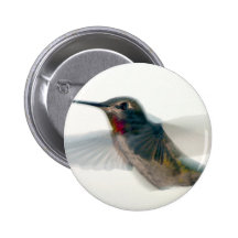 Red-Throated Hummingbird Buttons