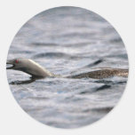 Red-throated Loon Sticker