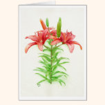 Red Tiger watercolor art greeting card cards