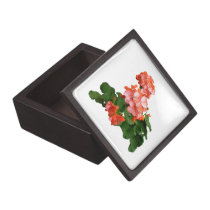 Red-Tipped Pink Geraniums premium gift boxes