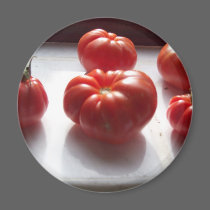 Red Tomatoes Magnet magnets