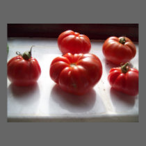 Red Tomatoes Poster posters