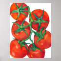 Red Tomatoes Poster print