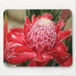 RED  TORCH FLOWER MOUSEPAD
