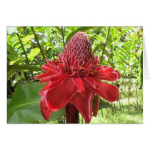 Red Torch Ginger Card