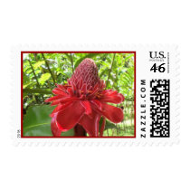 Red Torch Ginger Postage postage