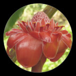 Red Torch Ginger Sticker