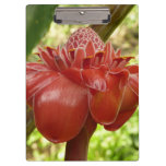 Red Torch Ginger Tropical Flower Clipboard